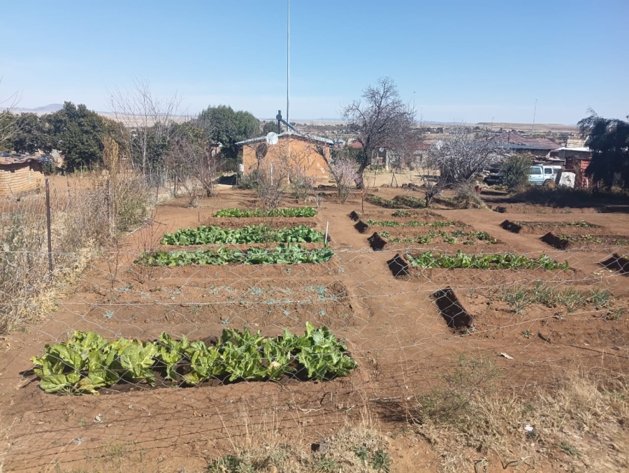 3 Bedroom Property for Sale in Botshabelo Free State